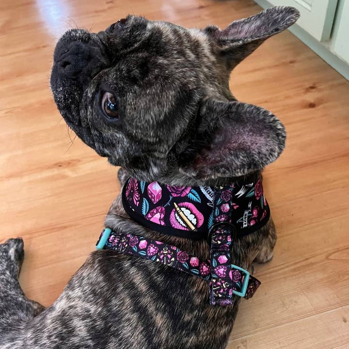 Beast & Buckle - Wholesale Pet Harness - Dog - Girly Tattoo Reversible Dog Harness1