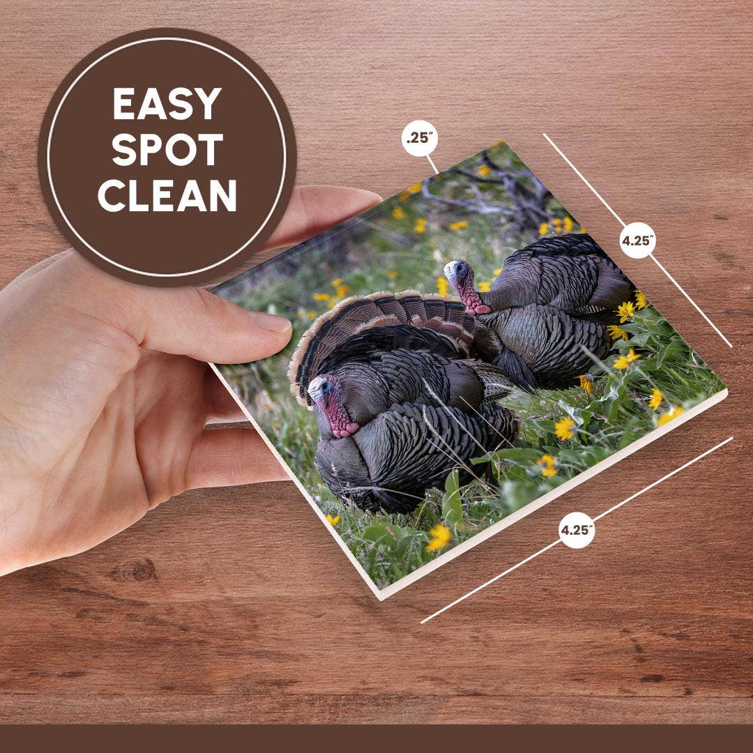3dRose - Wholesale Coasters - 3dRose, Tom turkeys in breeding plumage in Great Basin NP, Nevada, USA, Coaster6