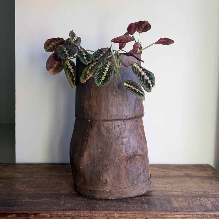 Mortero de Madera Maceta 6 para venta al por mayor de Project Kalaa