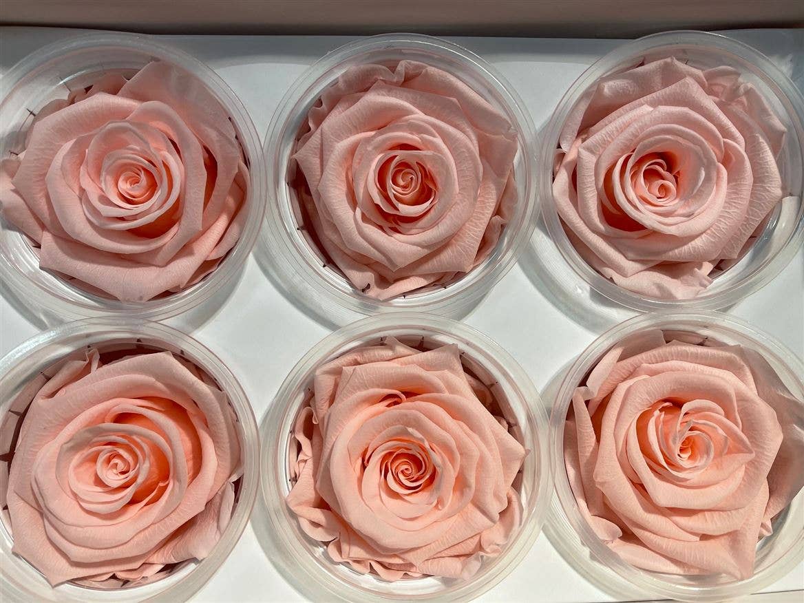 Dutch Flower Studio - Wholesale Artificial Flowers - 🌸 Preserved Roses - 13 colors - Decoration - Flowers - 6 cm8