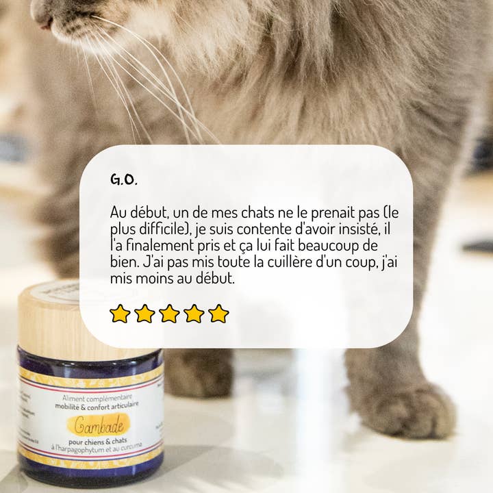 Truffe & Moustache - Wholesale Pet Supplement - Cat/Dog - Joint comfort — Short cure — Dietary supplement3