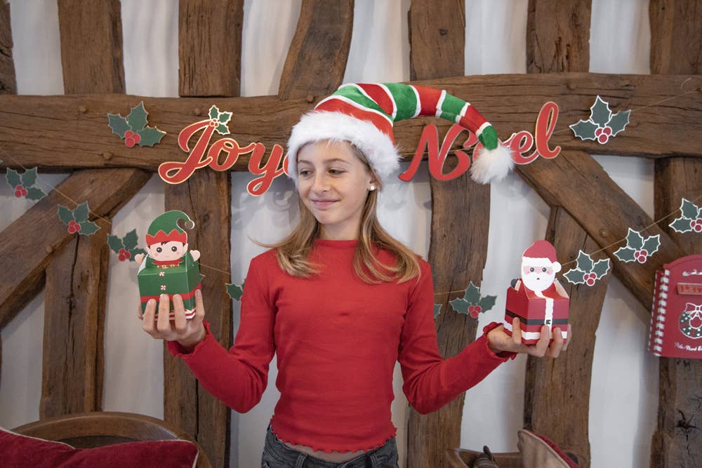 Tim&Puce Factory - Wholesale Christmas Decoration - SMALL SWEETY XMAS X4 BOXES4