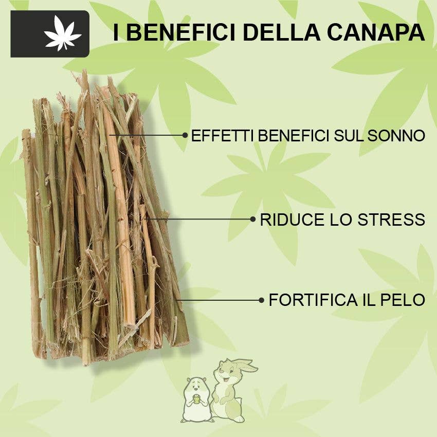 Croci S.p.A. - Wholesale Pet Food - Not Cat/Dog - Snack food for rabbits and rodents with hemp - Woodchuck6