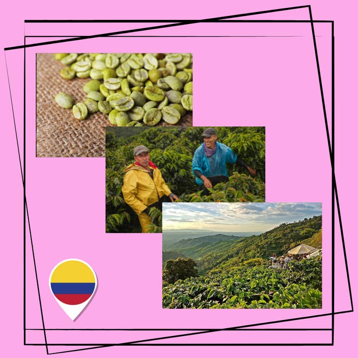 Tree and Bees Coffee – wholesale Ground coffee – Single Origin: Colombia Excelso - Medellín2
