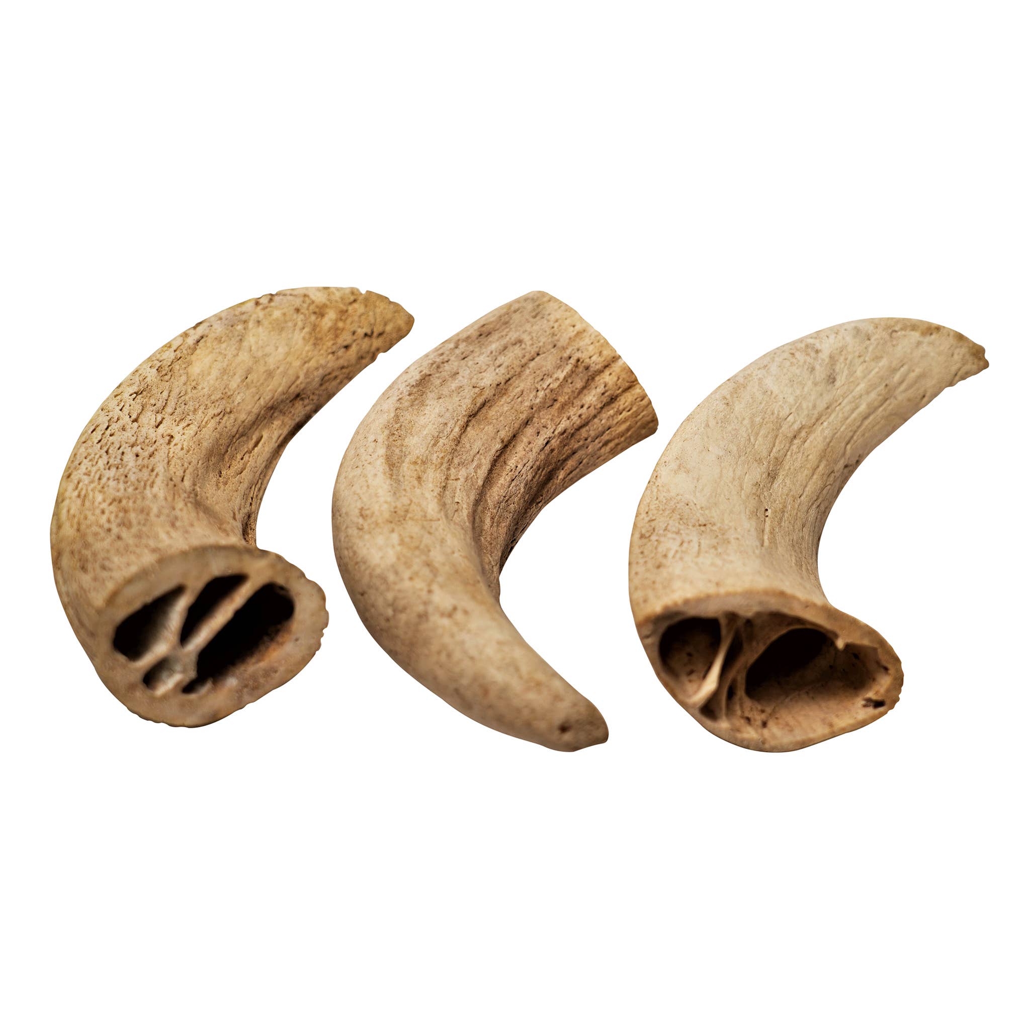 Rozie's Naturals - Wholesale Pet Treats - Dog - WATER BUFFALO HORN CORE - Grain-Free, 100% Natural Chews4