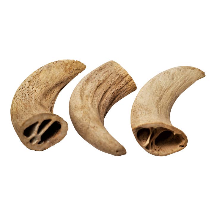 Rozie's Naturals - Wholesale Pet Treats - Dog - WATER BUFFALO HORN CORE - Grain-Free, 100% Natural Chews4