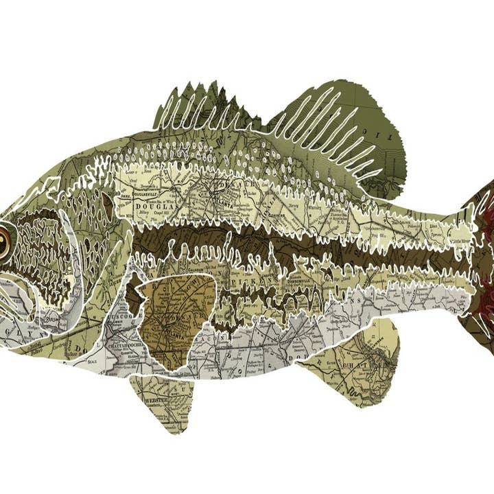 Wholesale Georgia State Fish, Map Art - Largemouth Bass for your store -  Faire