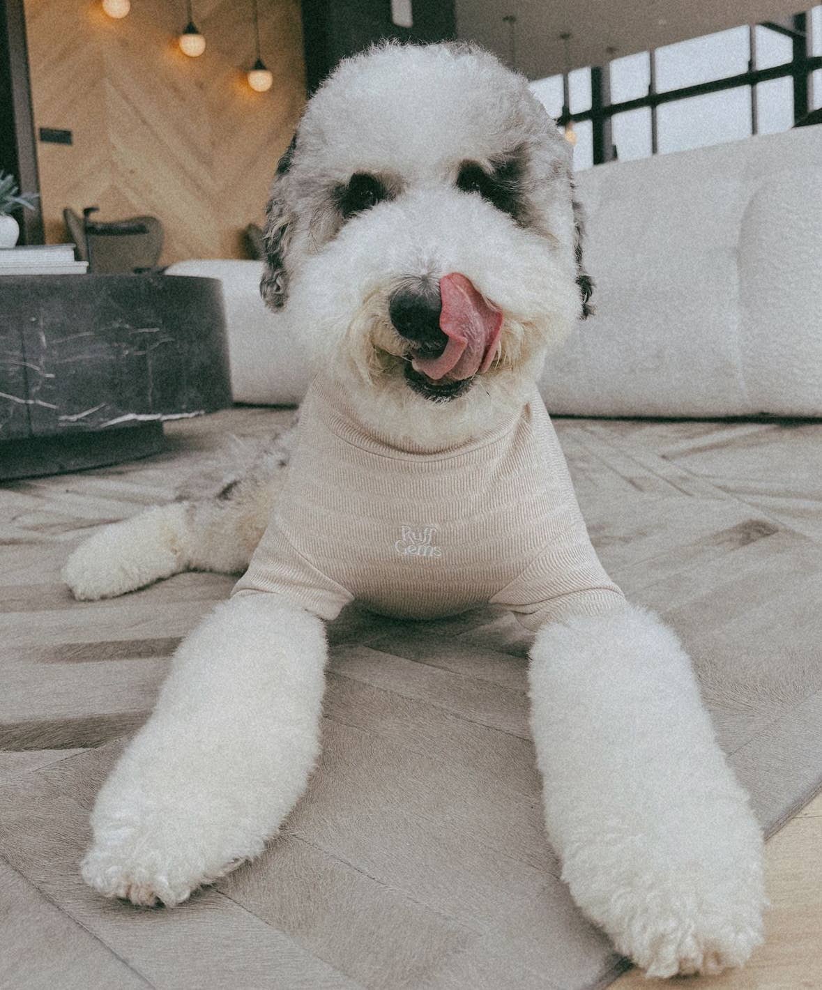 Ruff Gems Co - Wholesale Pet Shirt - Dog - Ultra Comfortable Luxury Dog Ribbed Stretch T Shirt8