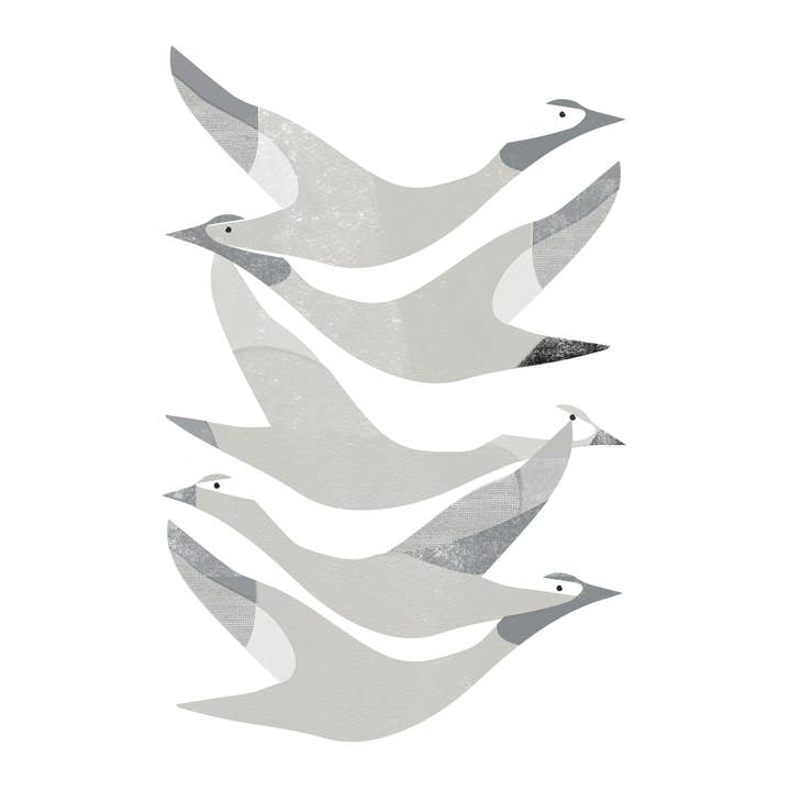 Time to Fly Art Print for wholesale by Jenni Douglas Designs