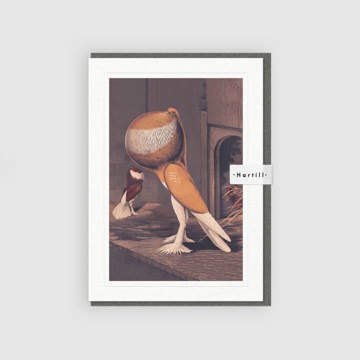 Cartão de saudação artístico Yellow-Pied Pouter Cock Pigeon por atacado de Hartill