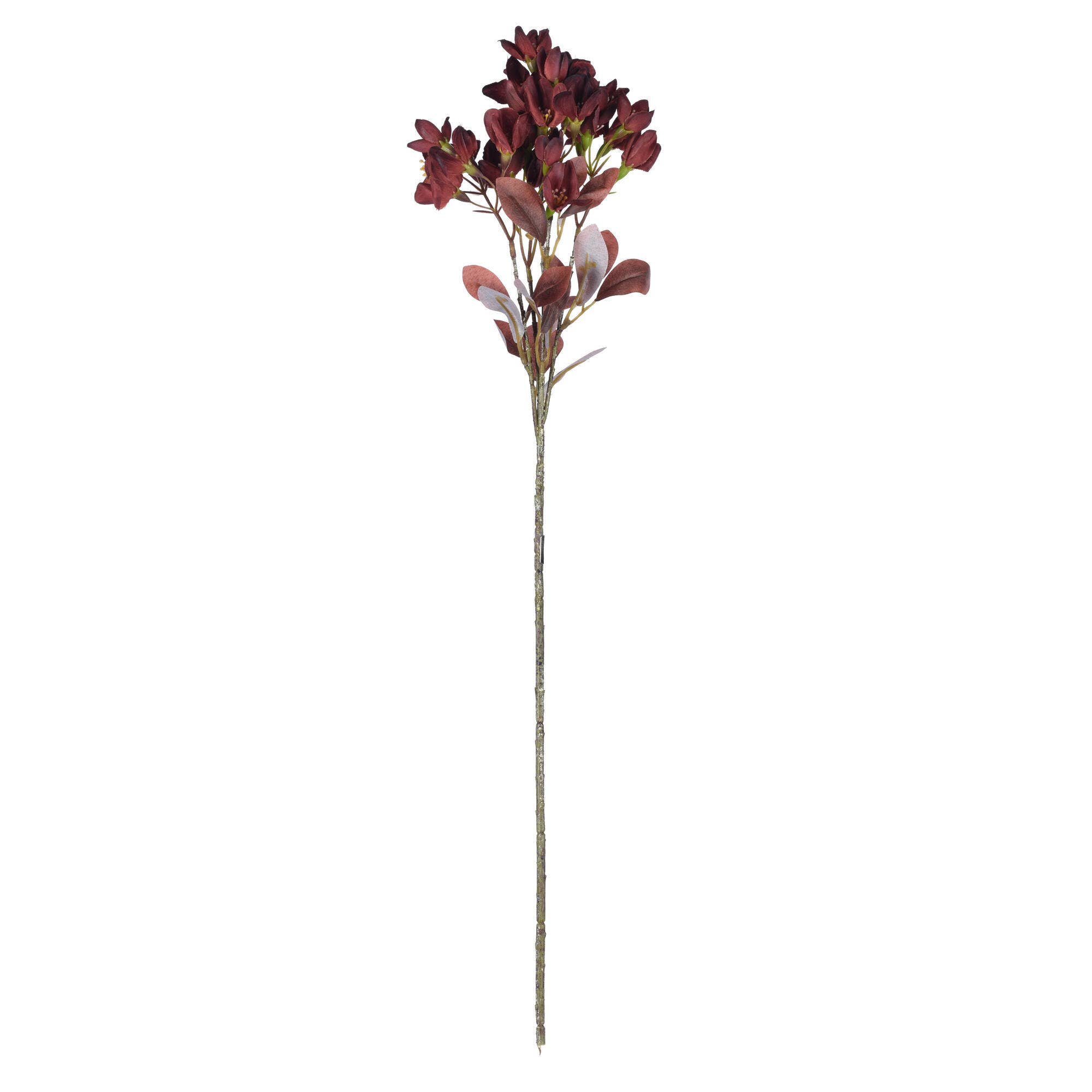 Burgundy Vickerman 25.5" Brgndy Primrose Flower Spray 3/Bag for wholesale on Faire0