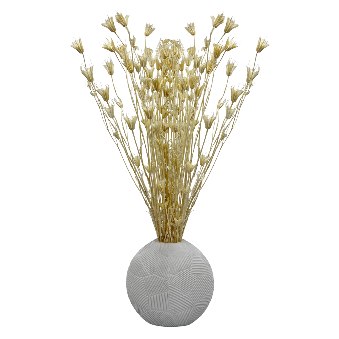 2626 Designs - Wholesale Dried/Pressed Flowers - Dried Octagon Flower, Nigella Orientalis-Love in a Mist, 24"12