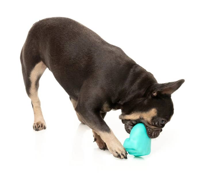 Pet Palette Distribution - Wholesale Pet Chew Toy - Dog - FuzzYard Knuckle Sandwich Dog Chew Toy8