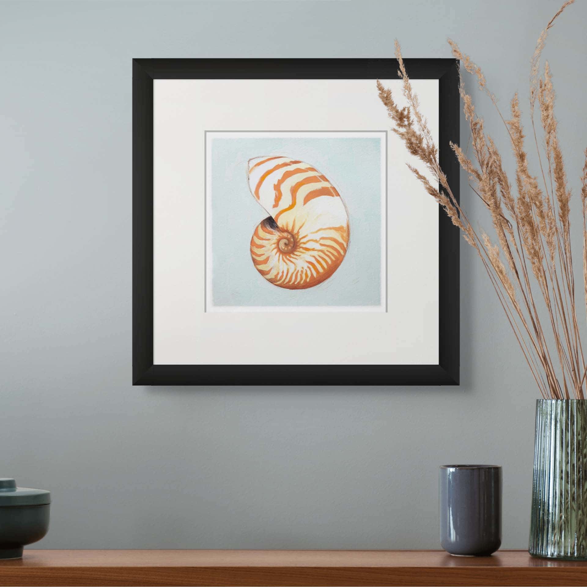 Holy Kaw Wall Art – Großhandel Kunstdruck – Fine-Art-Wanddruck Muschel #2 - 24x241