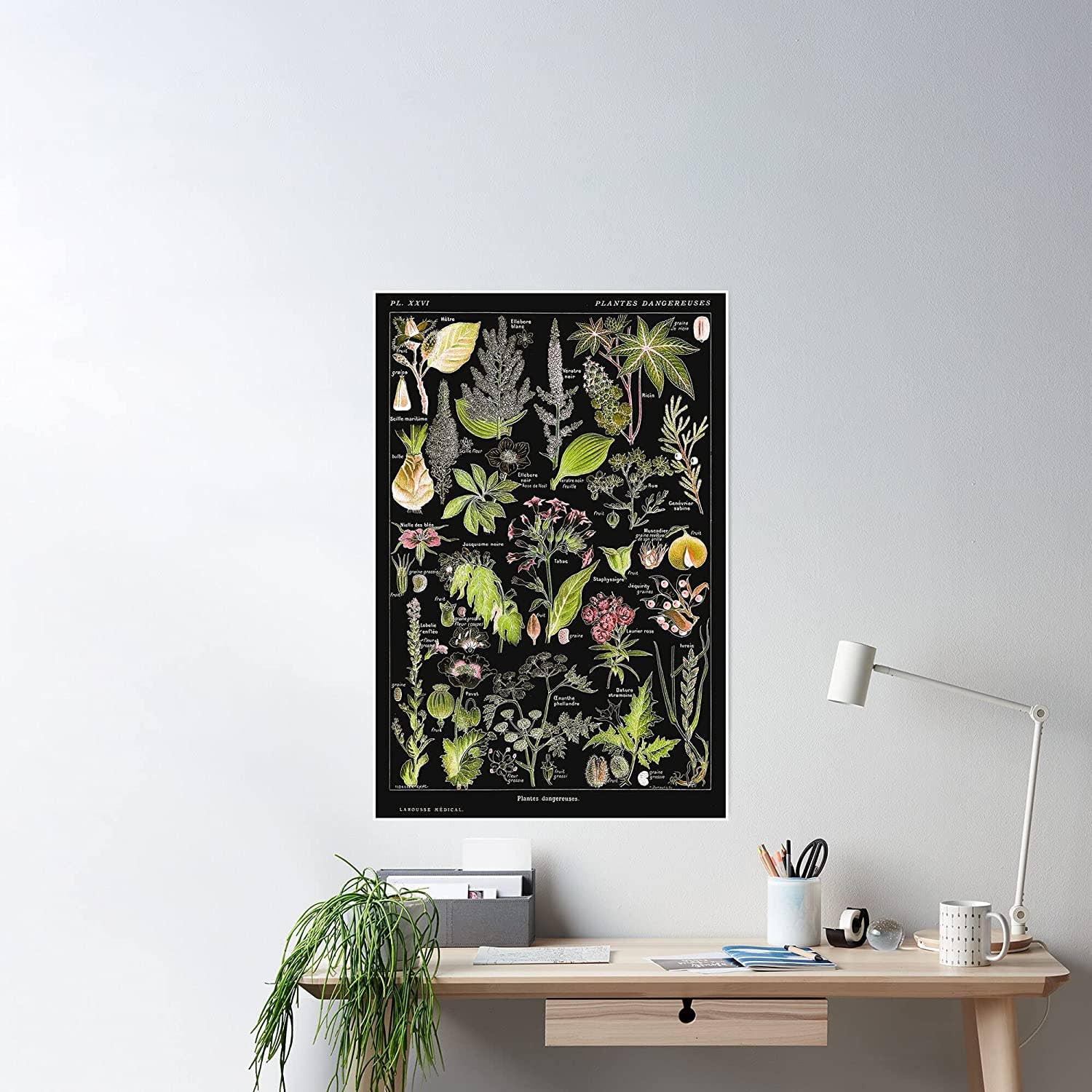 Rock Paper Scissors Wall Art – Großhandel Kunstdruck – Gefährliche Pflanzen A (Plantes Dangereuses A) von Adolphe Millot1