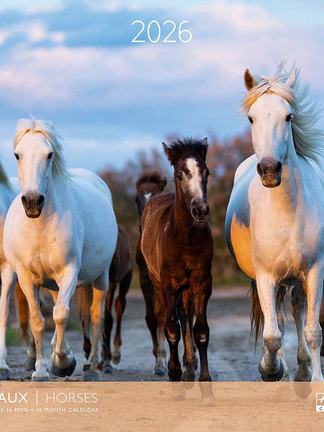 Calendario caballos para venta al por mayor de Multi Técnica de Papelería SA
