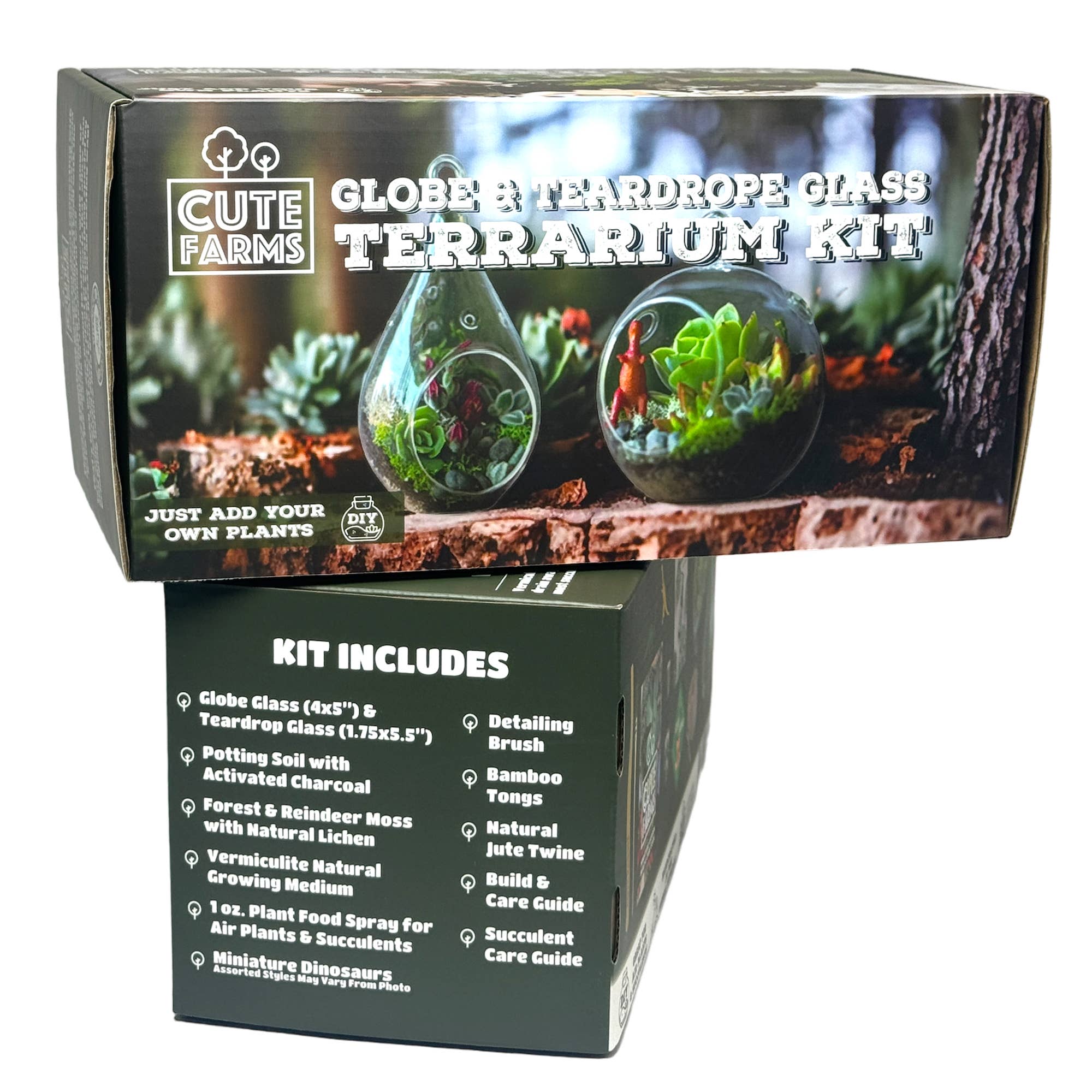 Cute Farms - Wholesale DIY Craft Kit - Round & Teardrop Terrarium Kit4