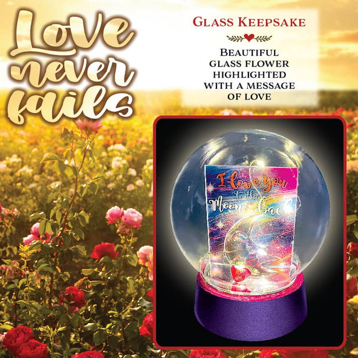 Novelty Brands - Wholesale Decorative Tabletop Object - Light Up Glass Globe Rose Keepsake Assortment- 6/Display