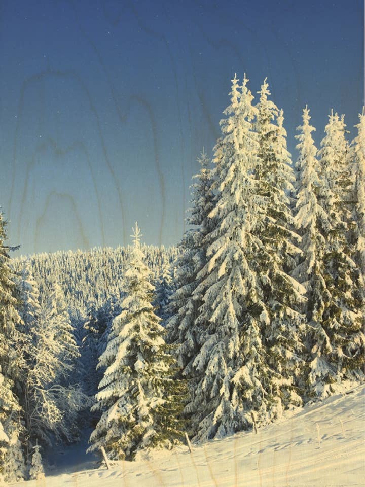 HOUTEN ANSICHTKAART MET BESNEEUWDE DENNENBOOMLANDSCHAP voor wholesale door Hironwoods