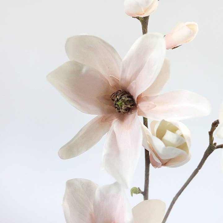 Prestige Botanicals - Wholesale Artificial Flowers - Blush Magnolia Blossom Branch 35"3
