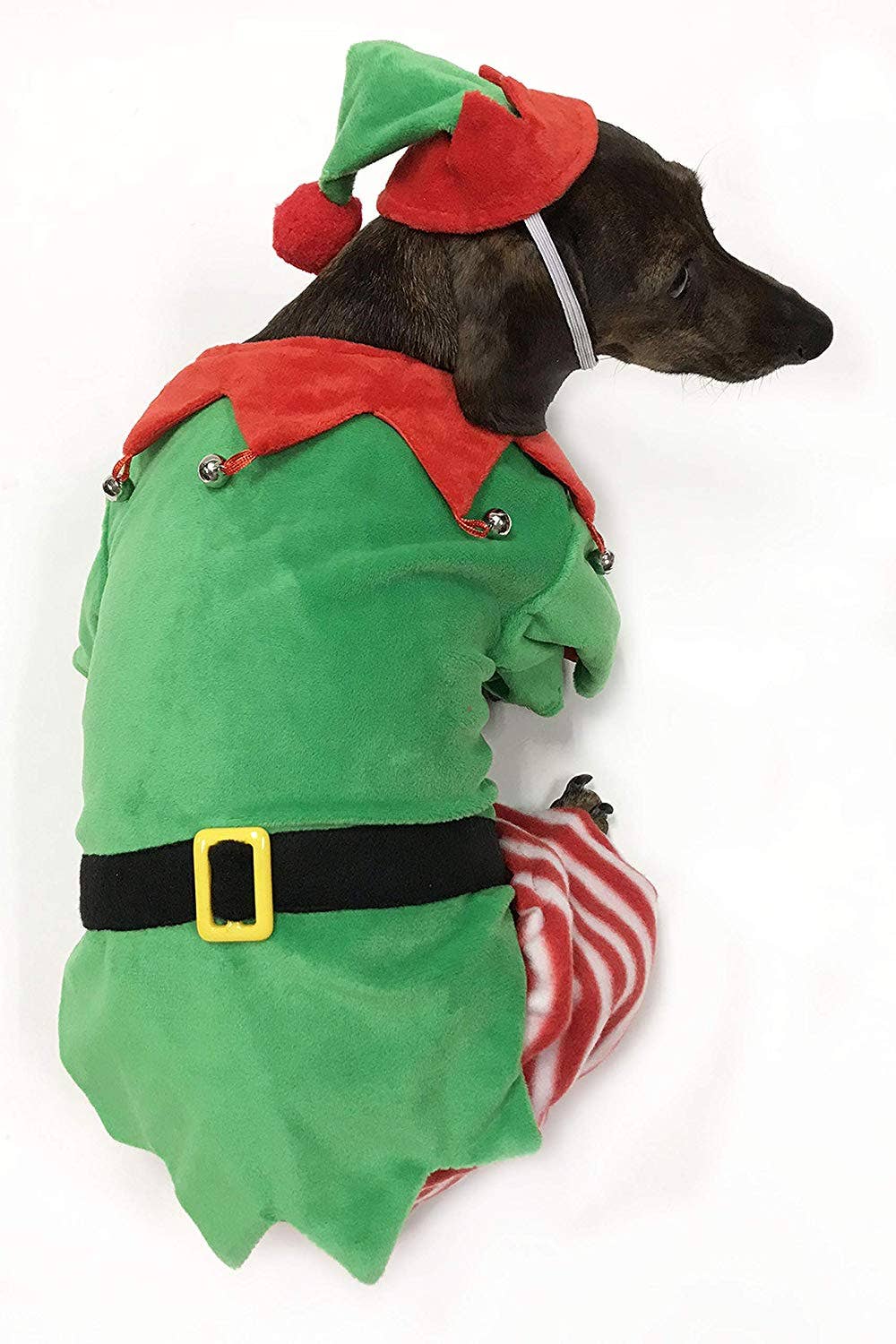 dog elf costume