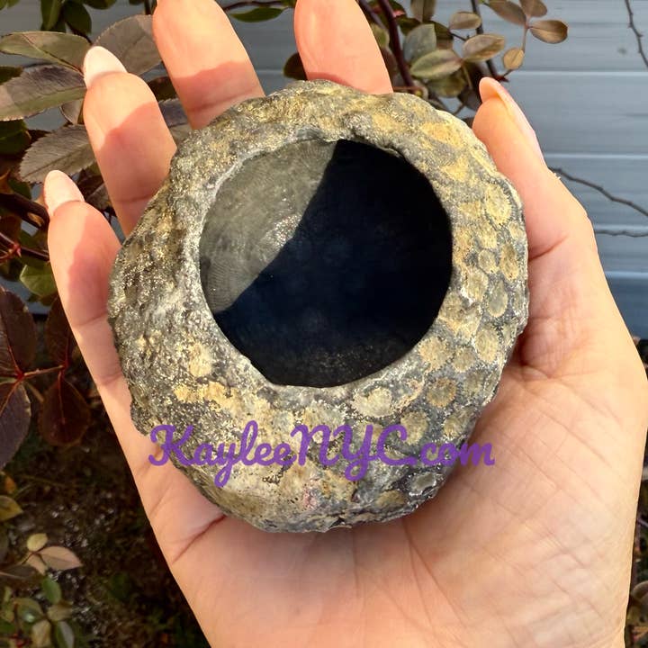 KayleeNYC - Wholesale Decorative Plate/Dish/Bowl - Natural Fossil Coral Bowls Crystal8