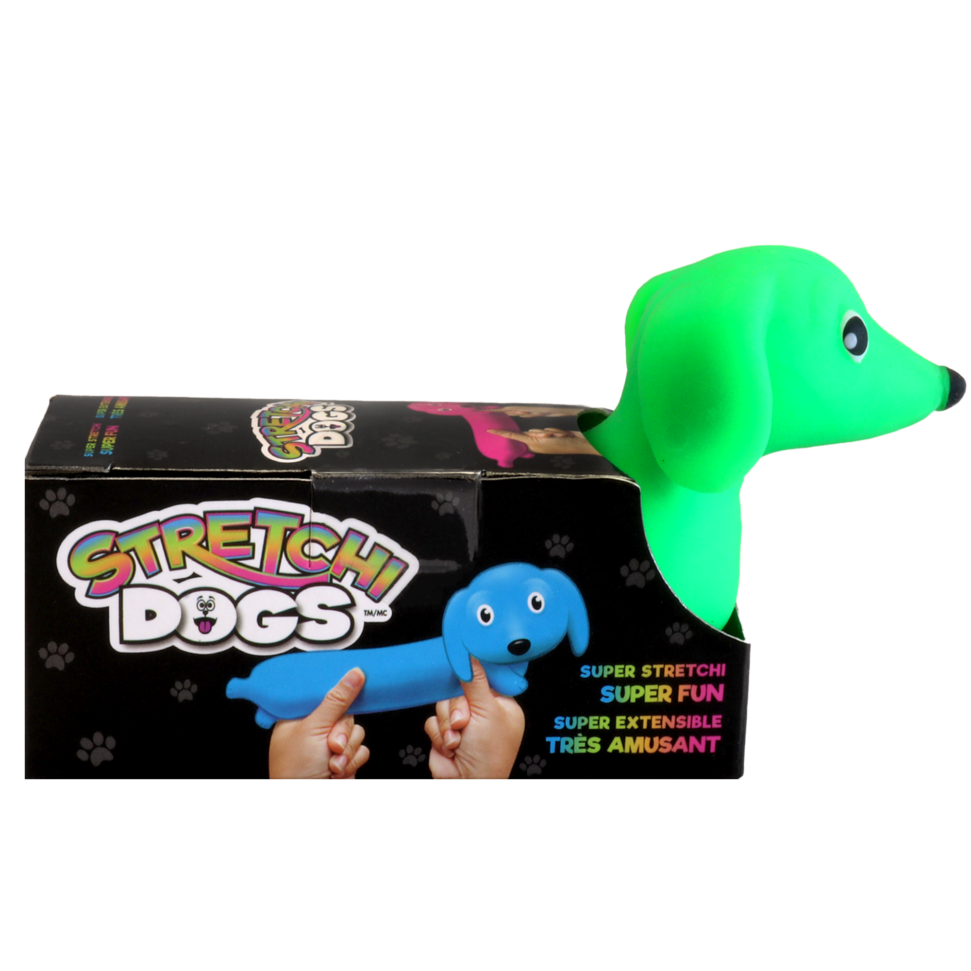 Incredible Group - Wholesale Fidget Toy - Kids - Stretchi Dogs7