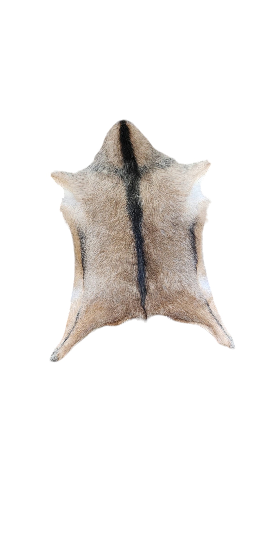 Luises Perez Imports LLC - Wholesale Decorative Tabletop Object - Assorted goat hides2
