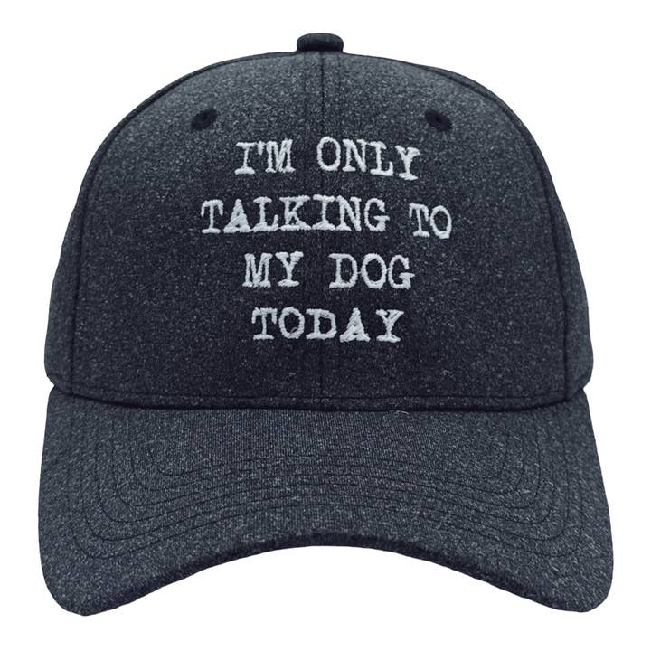 Crazy Dog T-Shirts - Wholesale Baseball Cap - Unisex - Im Only Talking To My Dog Today Hat Funny Dog Lovers Cap