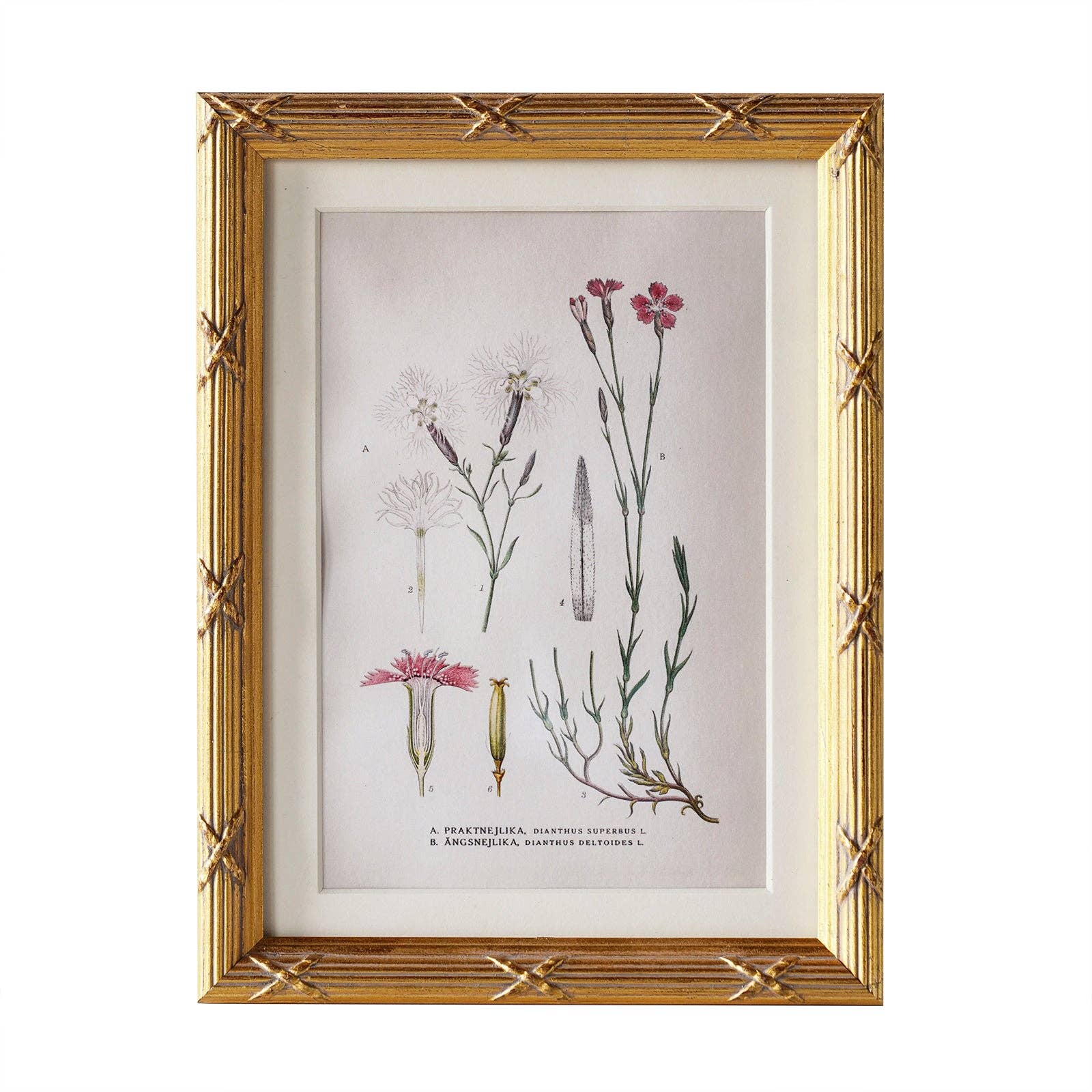 Blue Ocean Traders - Wholesale Picture Frame - Arundel Matted Frame1