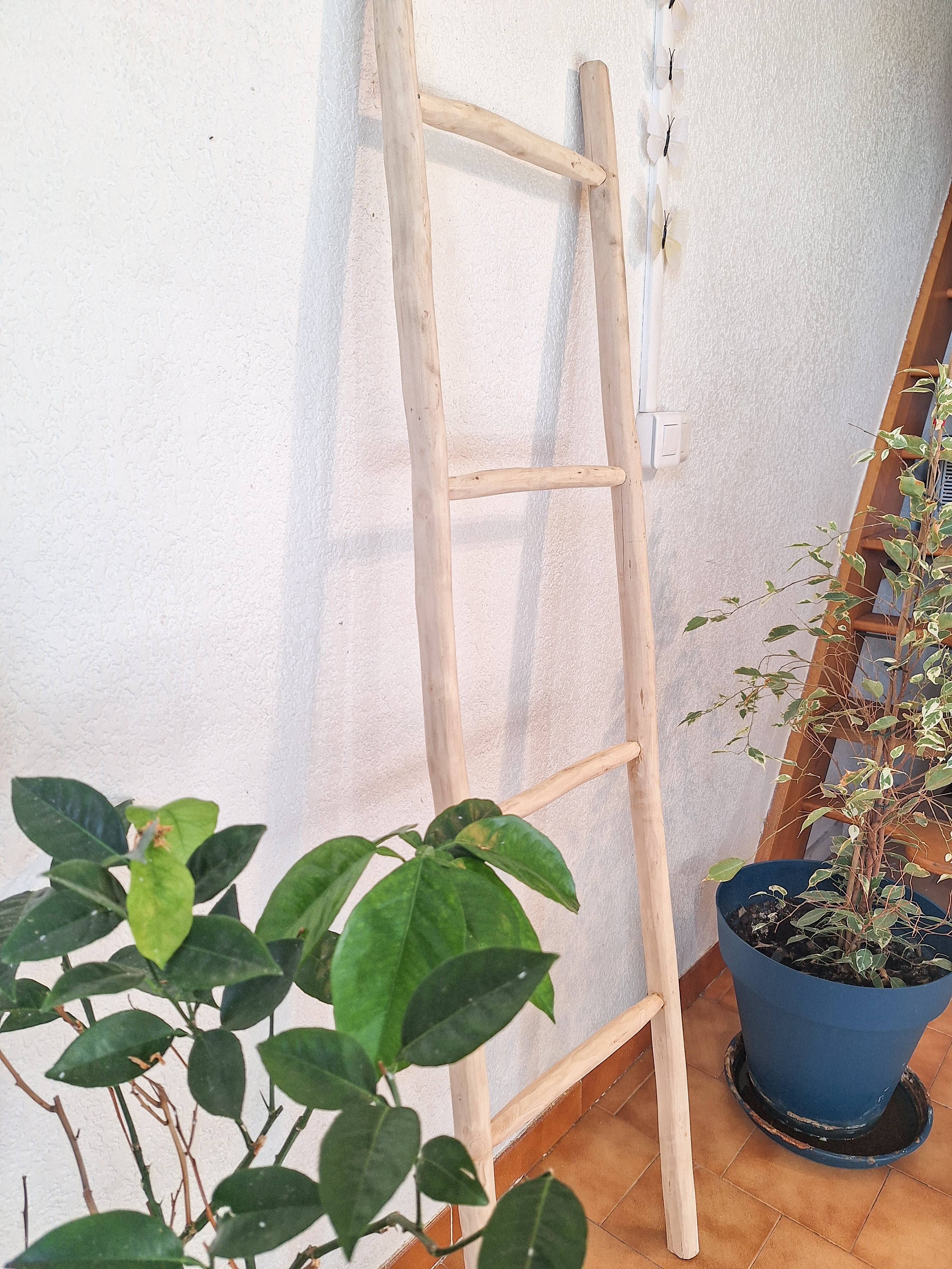 LeBazare - Wholesale Free Standing Shelf - Decorative wooden ladder2