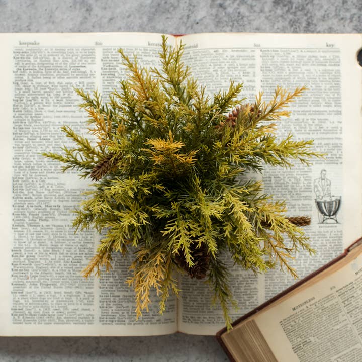 Ragon House - Vendita all'ingrosso Piante artificiali - Mezza sfera in pino spinoso d'ulivo e frumento da 22,9 cm0