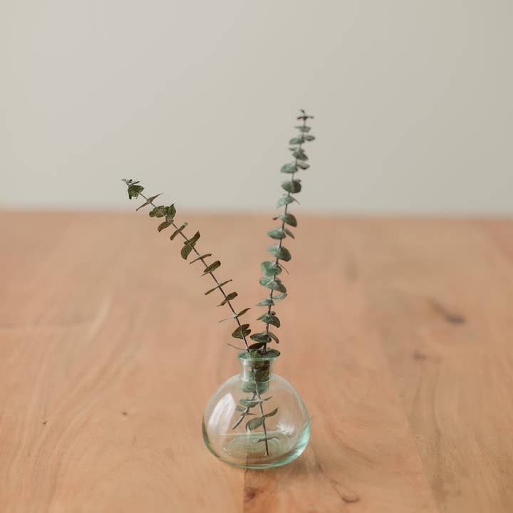 Eucalypt Co. - Wholesale Artificial Plant - Preserved Small Stems