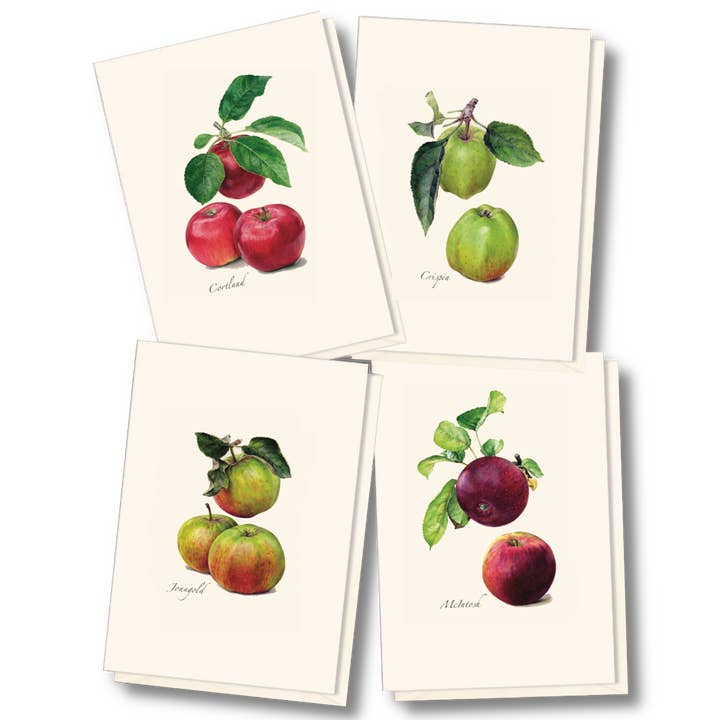 Heirloom Apple Assortment and other Purchase Wholesale price of apples. Free Returns & Net 60 Terms on Faire trending on Faire.