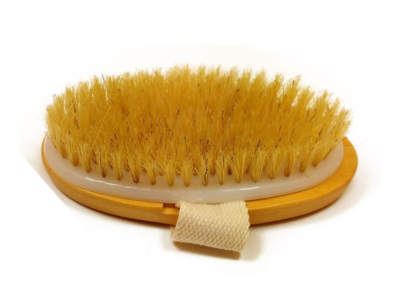 My Wholesale Warehouse - Wholesale Body Brush - Glamza Dry Body Bristle Brush2
