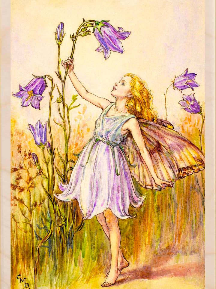 Fée Campanule - Cartes et aimants écologiques pour la vente par THE WOODEN POSTCARD COMPANY