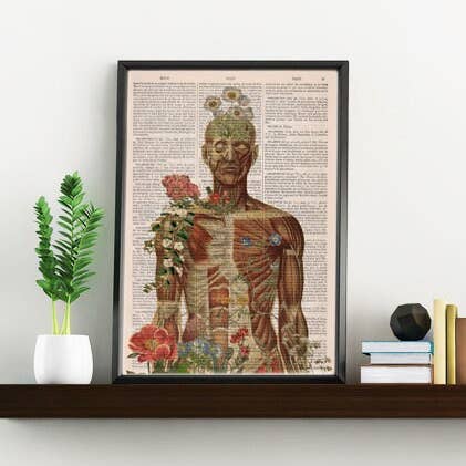 Arte de anatomia muscular por atacado de PRRINT!