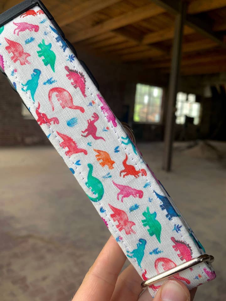 Collar para Perro de Dinosaurio Multicolor, K y M Collars, TRex para venta al por mayor de K and M Collars