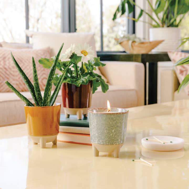 Modern Sprout - Wholesale Jar/Filled Candle - Glow & Grow 2-in-1 Candle + Grow Kit