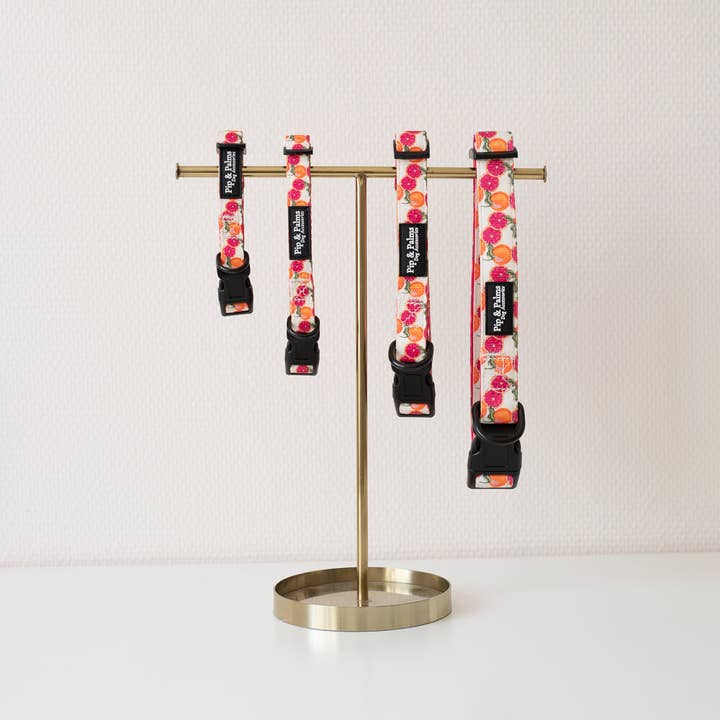 Pip and Palms - Wholesale Pet Collar - Dog - Dogs Dogs Collar Tutti Frutti3