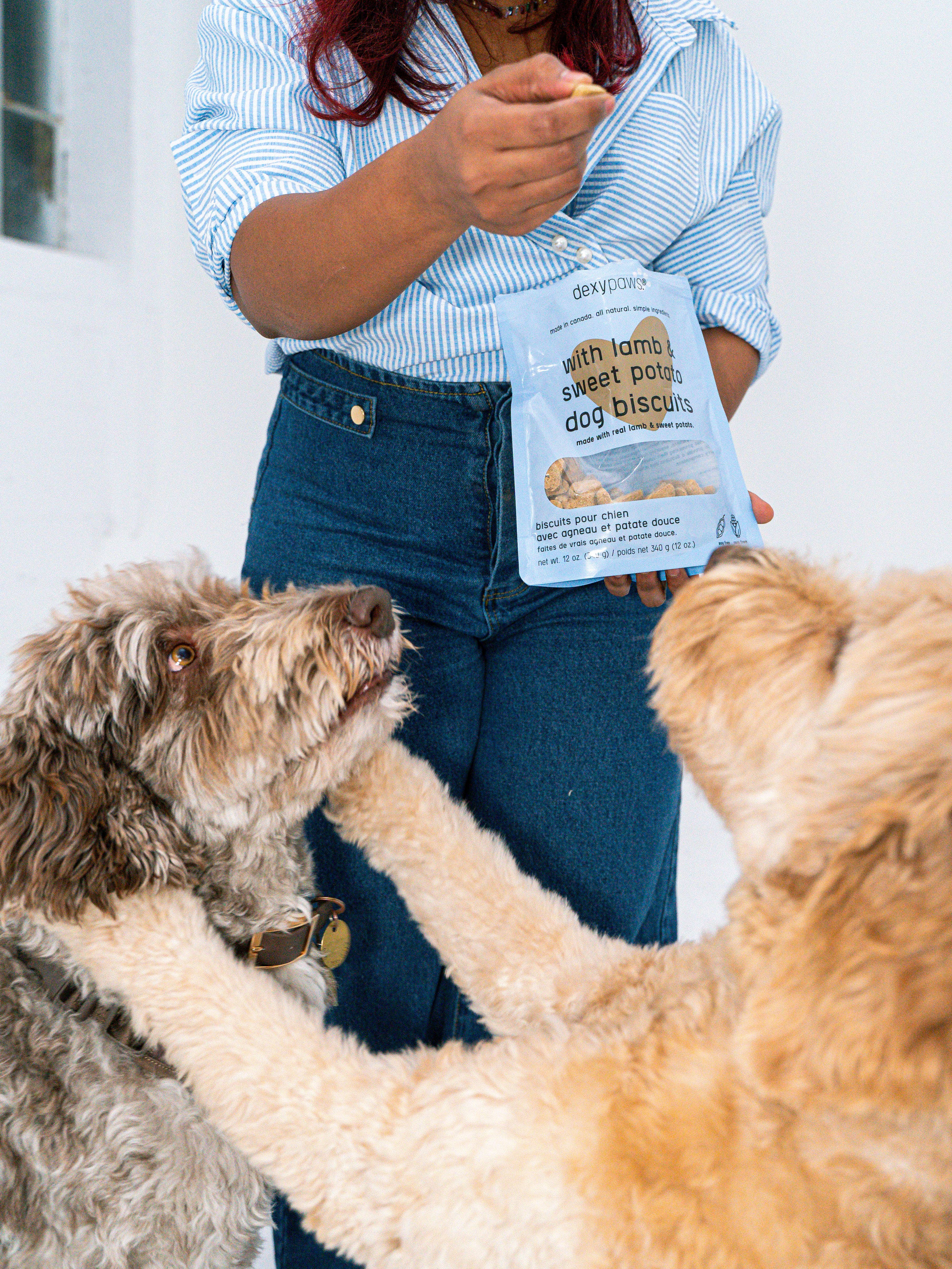 dexypaws – wholesale Godis - Hund – Hundgodis med lamm och sötpotatis3