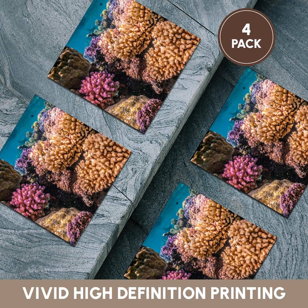 3dRose - Wholesale Coasters - 3dRose, French Polynesia, Bora Bora. Closeup coral garden., Coaster5