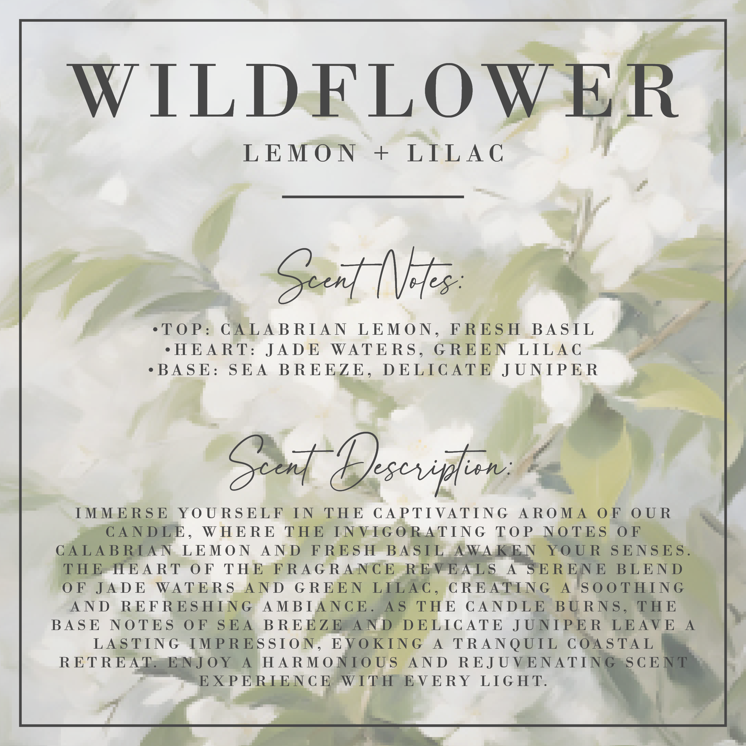 Porter Lane Home – wholesale Burkljus – WILDFLOWER | Citron + Syrenljus | Signature Collection1