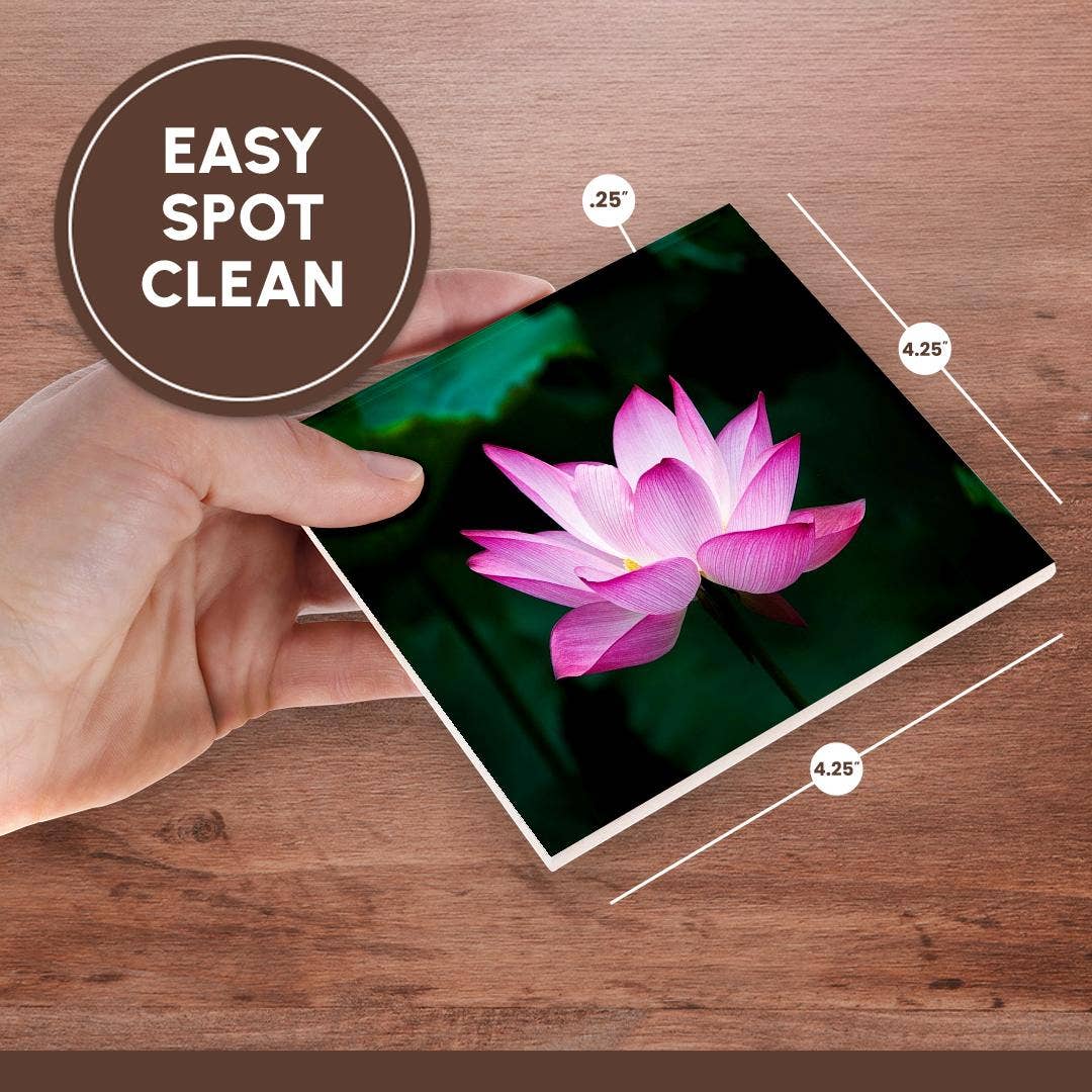 3dRose - Wholesale Coasters - 3dRose, Image of Pink Floating Water Lily, Coaster6