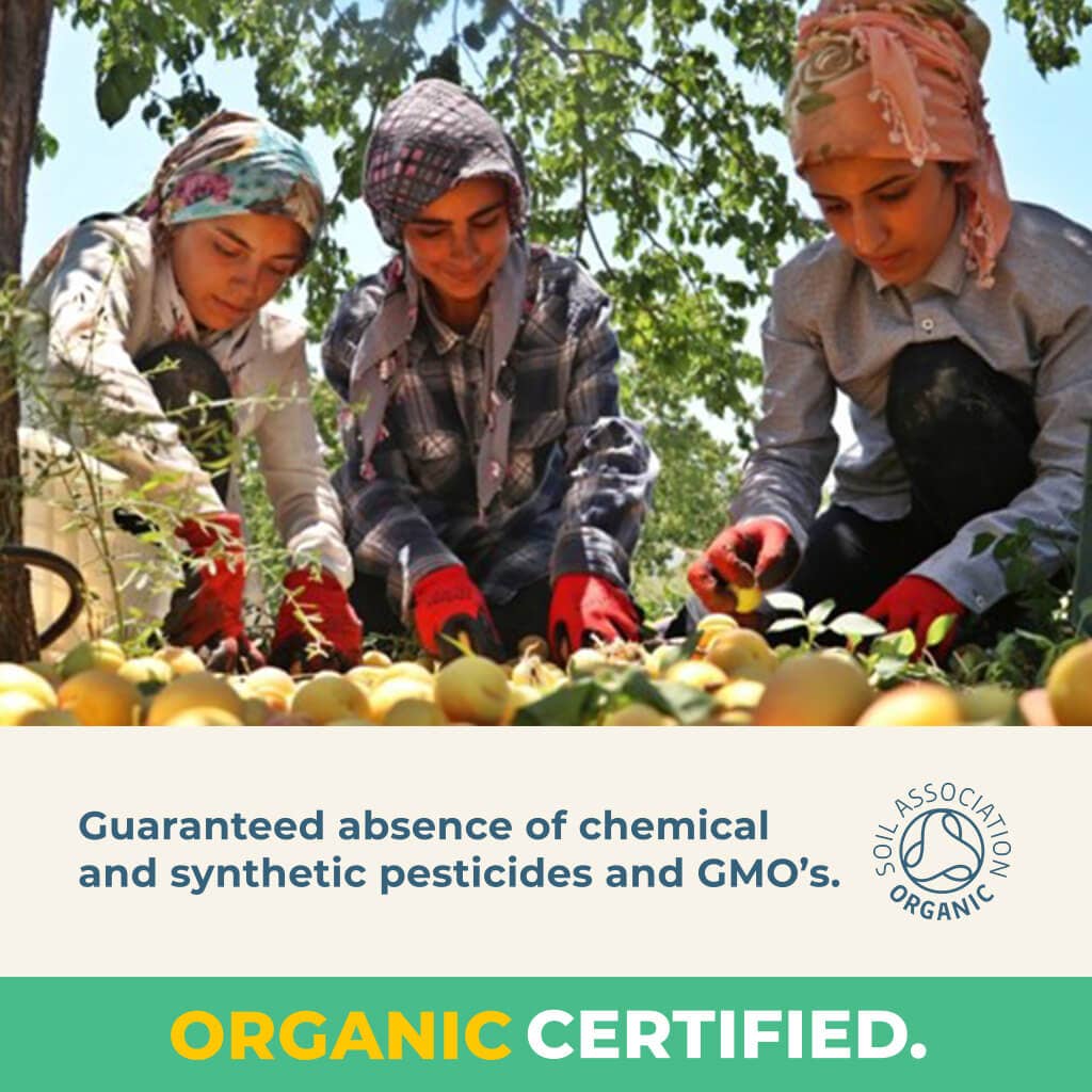 WALLAROO - Vente Fruits secs/déshydratés - Wallaroo Abricots Entiers Séchés Bio 10x35g3