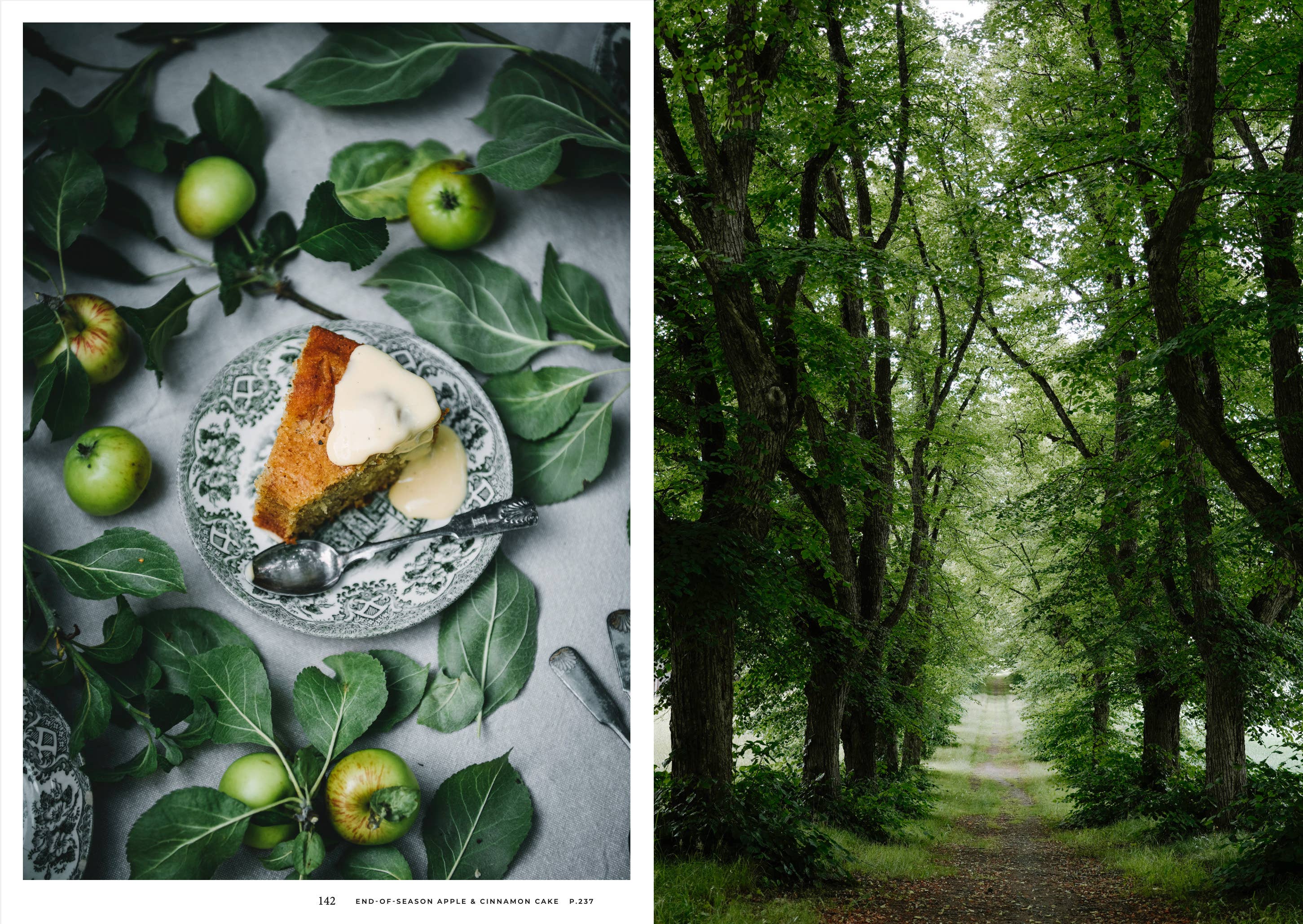 Cozy Publishing – Großhandel Kochbücher & Essen – Nordisches Sommerkochbuch3