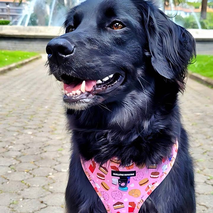HUELLITAS INFINITAS - Wholesale Pet Harness - Dog - Dulces Deseos adjustable harness10