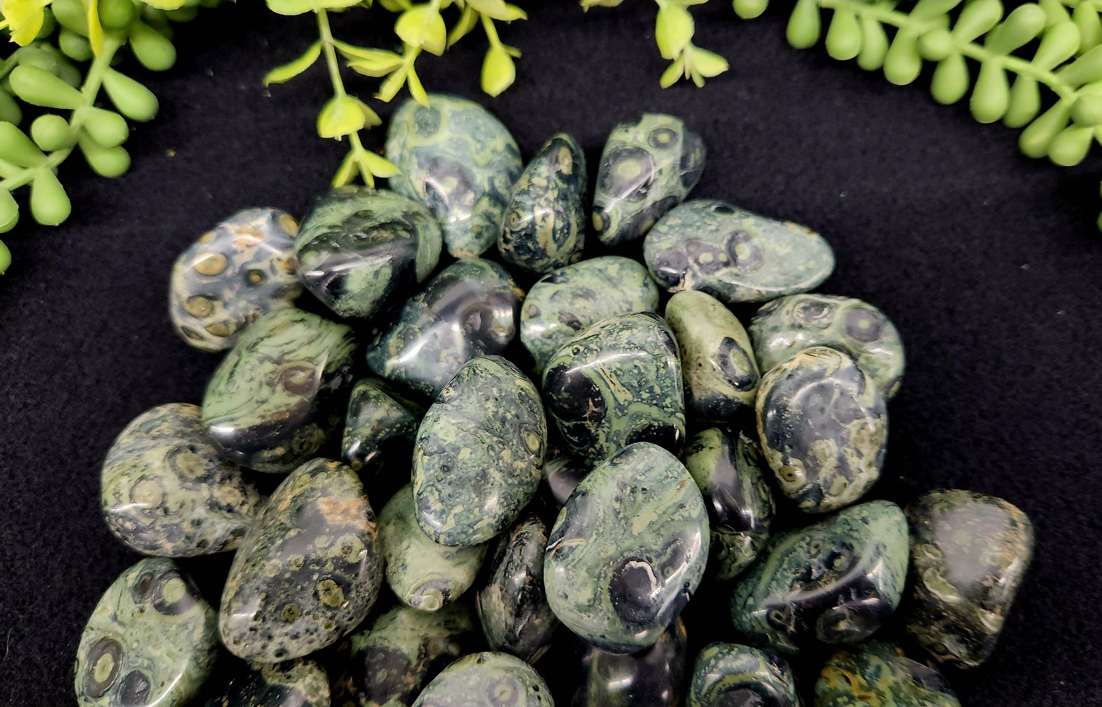 Meraki Gemstones - Wholesale Spiritual Stone/Crystal - Kambaba Jasper (1kg/2.2 lbs.) Tumbled Approx. 30-35mm6