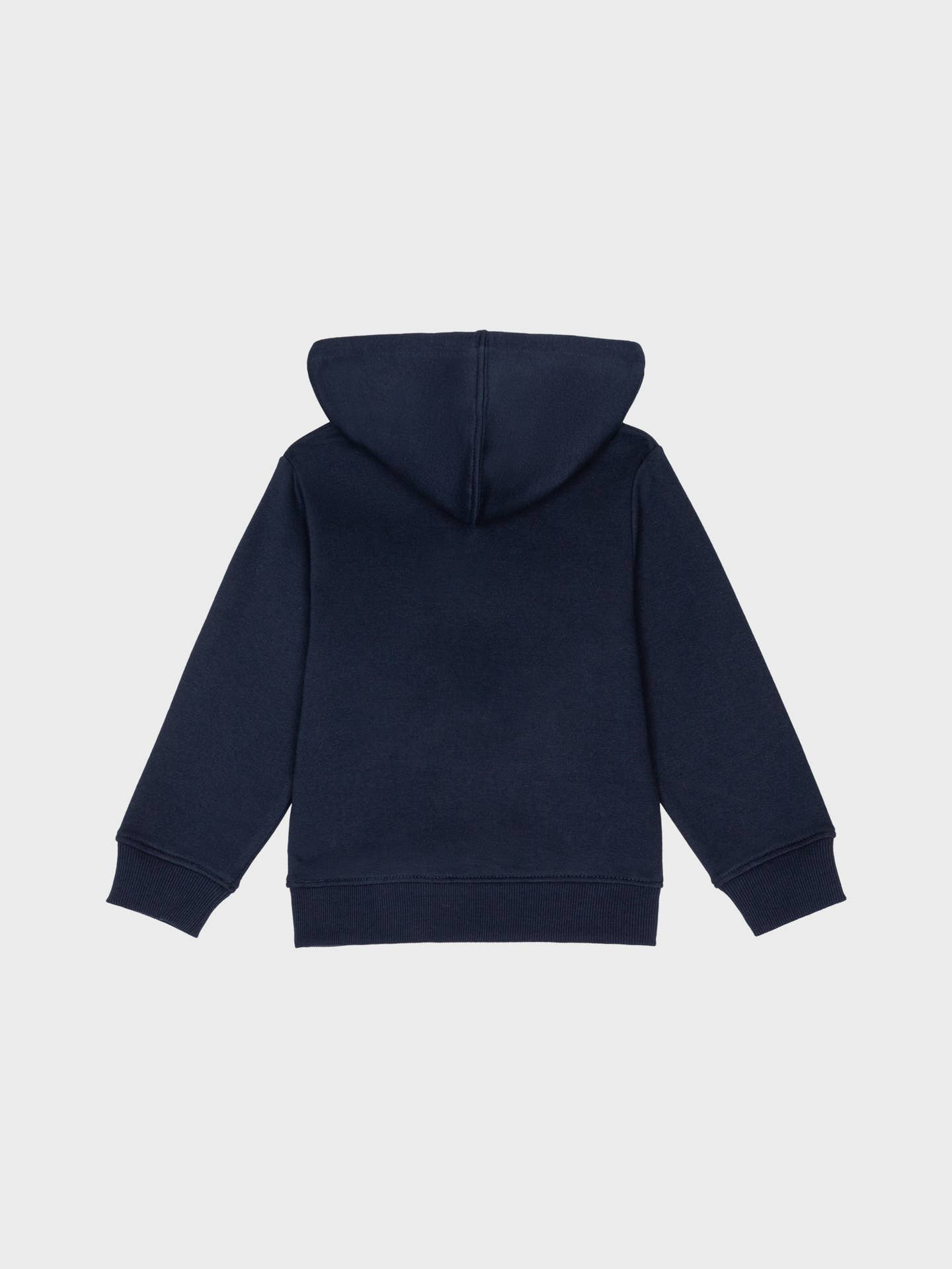 Ativo Kids - Wholesale Hoodie - Baby - BU-BD8297-61 - Hooded Sweatshirt for Babies1