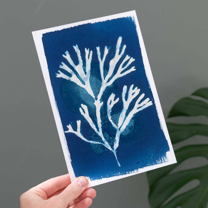 The Wild Darkroom – wholesale DIY craft kit – Cyanotype Printing Paper A41